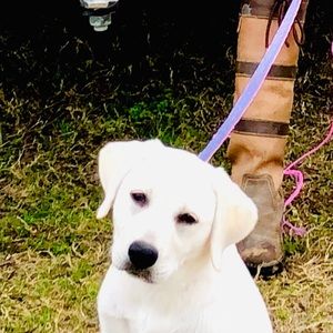 Meet your Posher, Linda